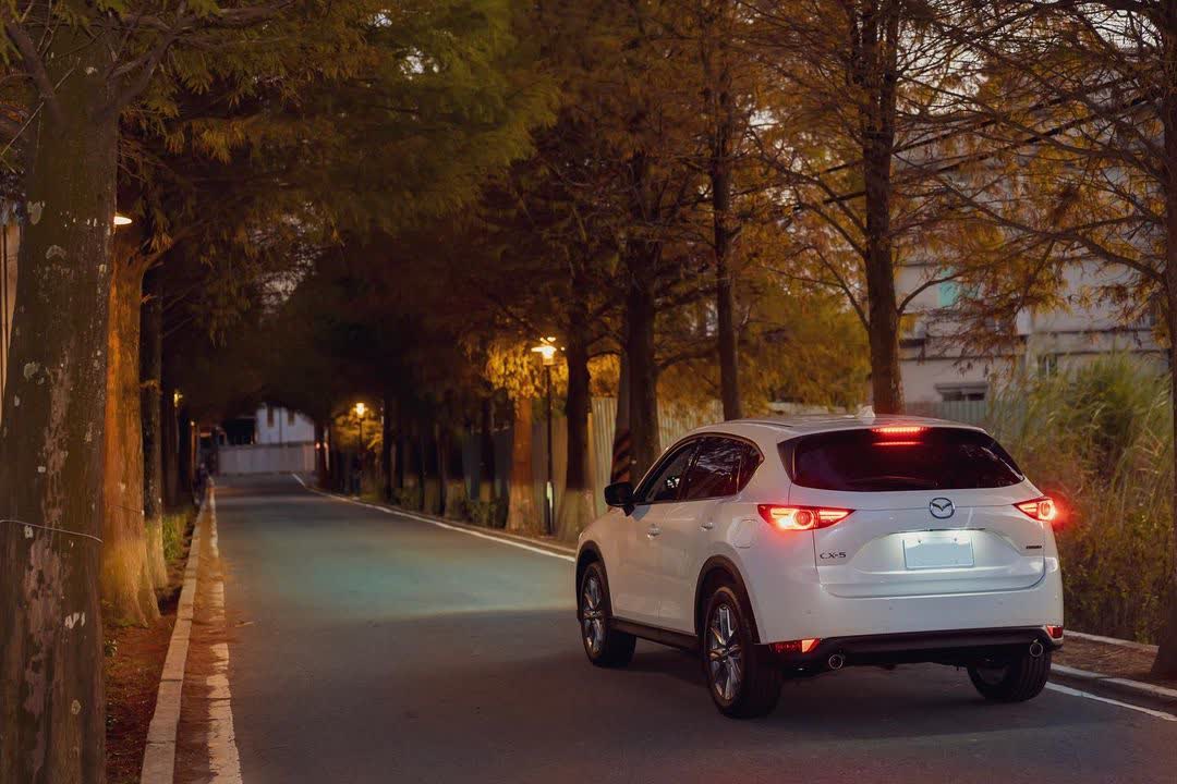 落羽松大道 | 去趣 chicTrip