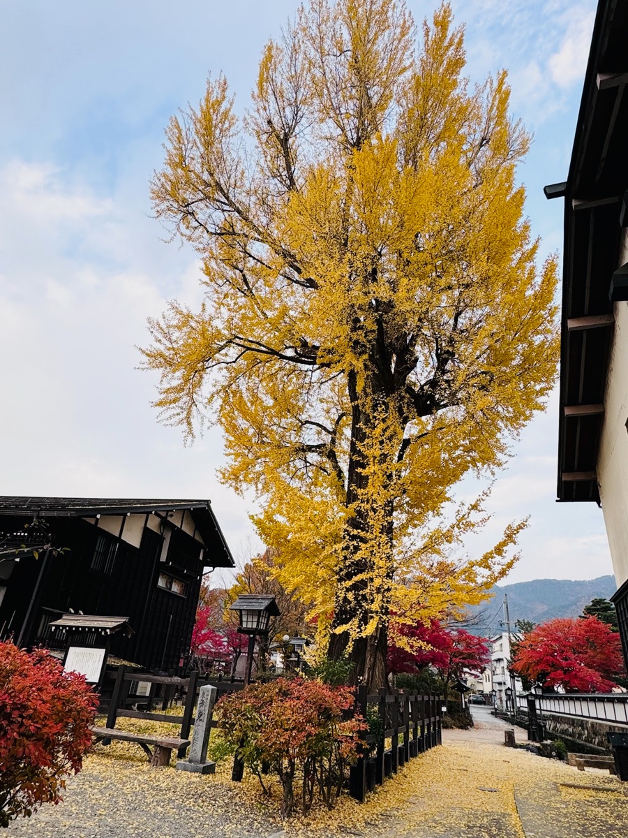 飛驒古川 | 去趣 chicTrip