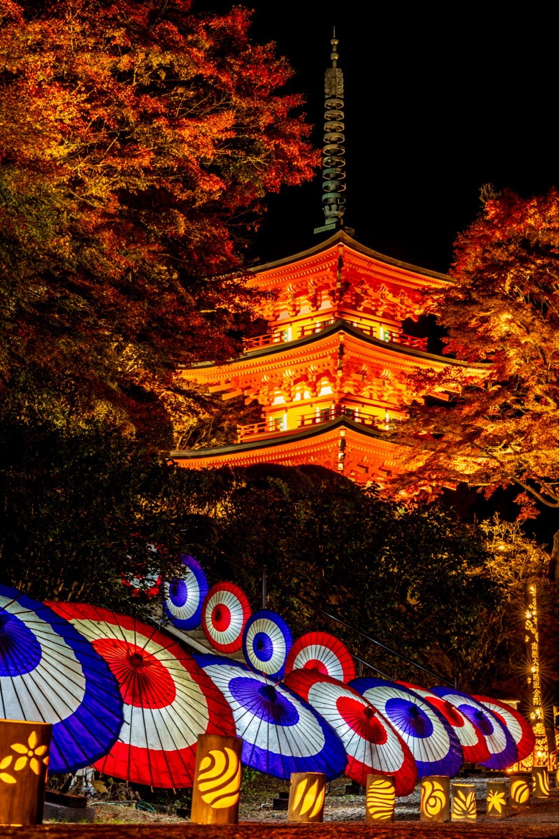 岡寺（龍蓋寺） | 去趣 chicTrip