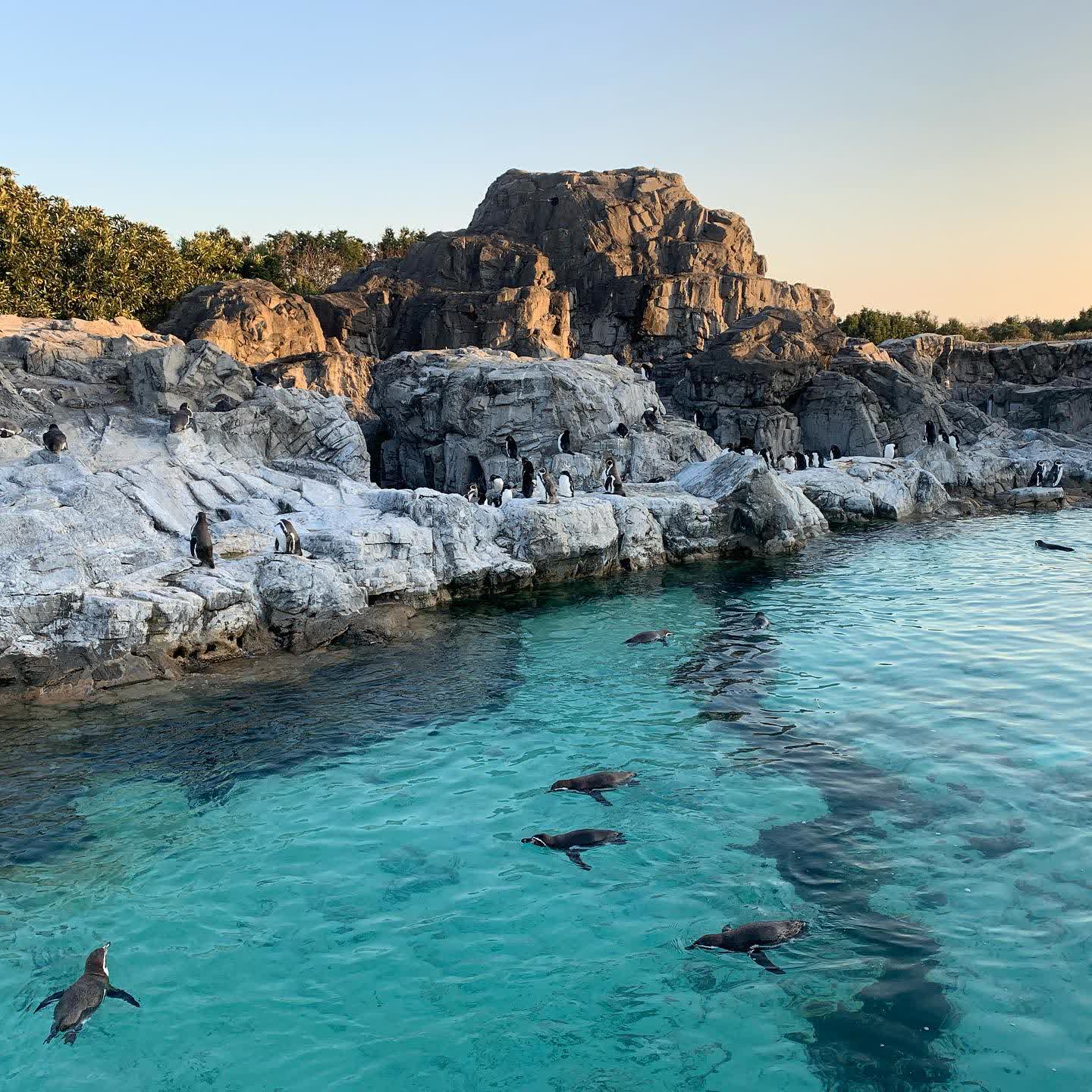葛西臨海水族園 | 去趣 chicTrip