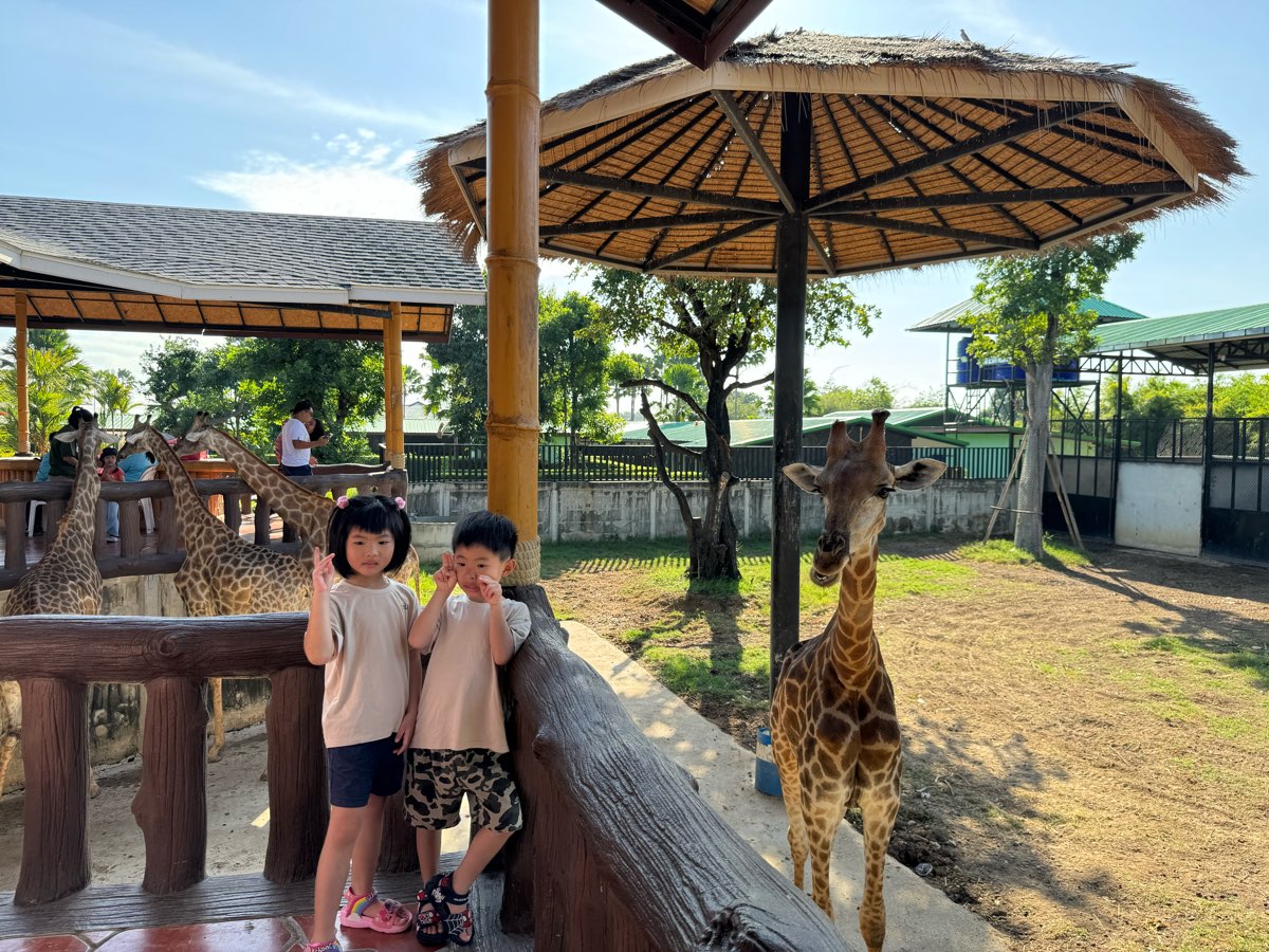 Sriayuthaya Lion Park | 去趣 chicTrip