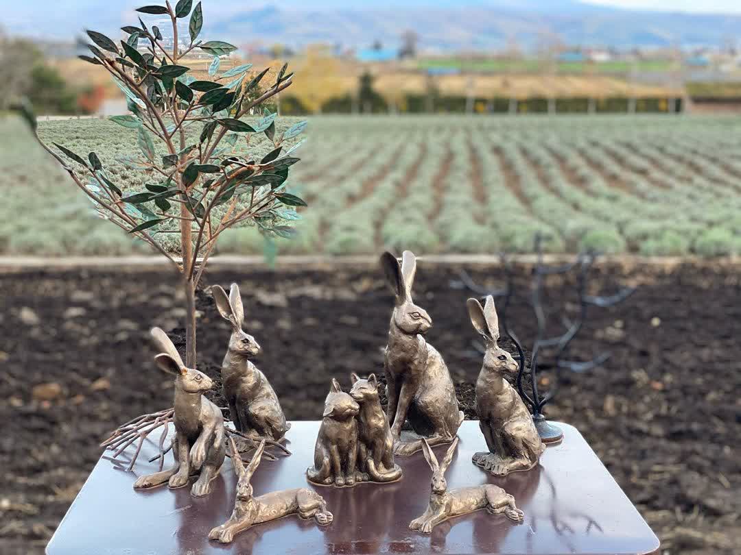 富田農場 | 去趣 chicTrip