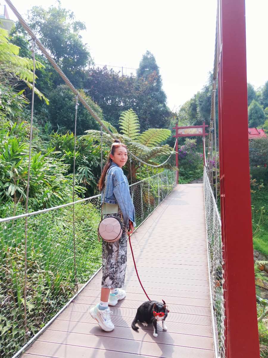 桂林映象會館（餐廳午晚餐、咖啡廳10-18點） | 去趣 chicTrip