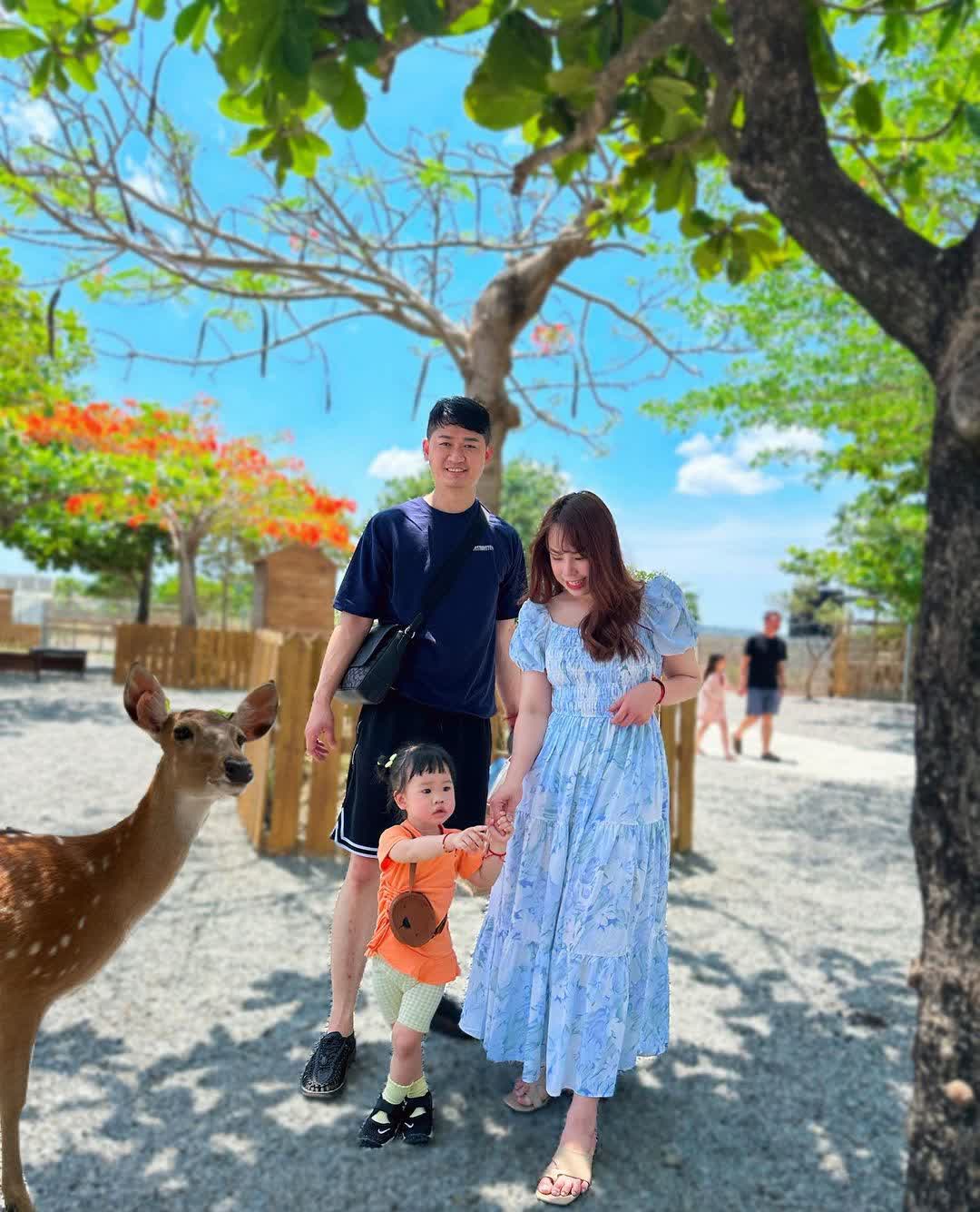 鹿境梅花鹿生態園區丨門票消費最高折抵140丨梅花鹿、水豚互動餵食丨室內親子DIY區丨親子遊戲區丨甜鹹輕食霜淇淋供應丨超可愛獨家紀念品丨奶茶、咖啡好喝 | 去趣 chicTrip