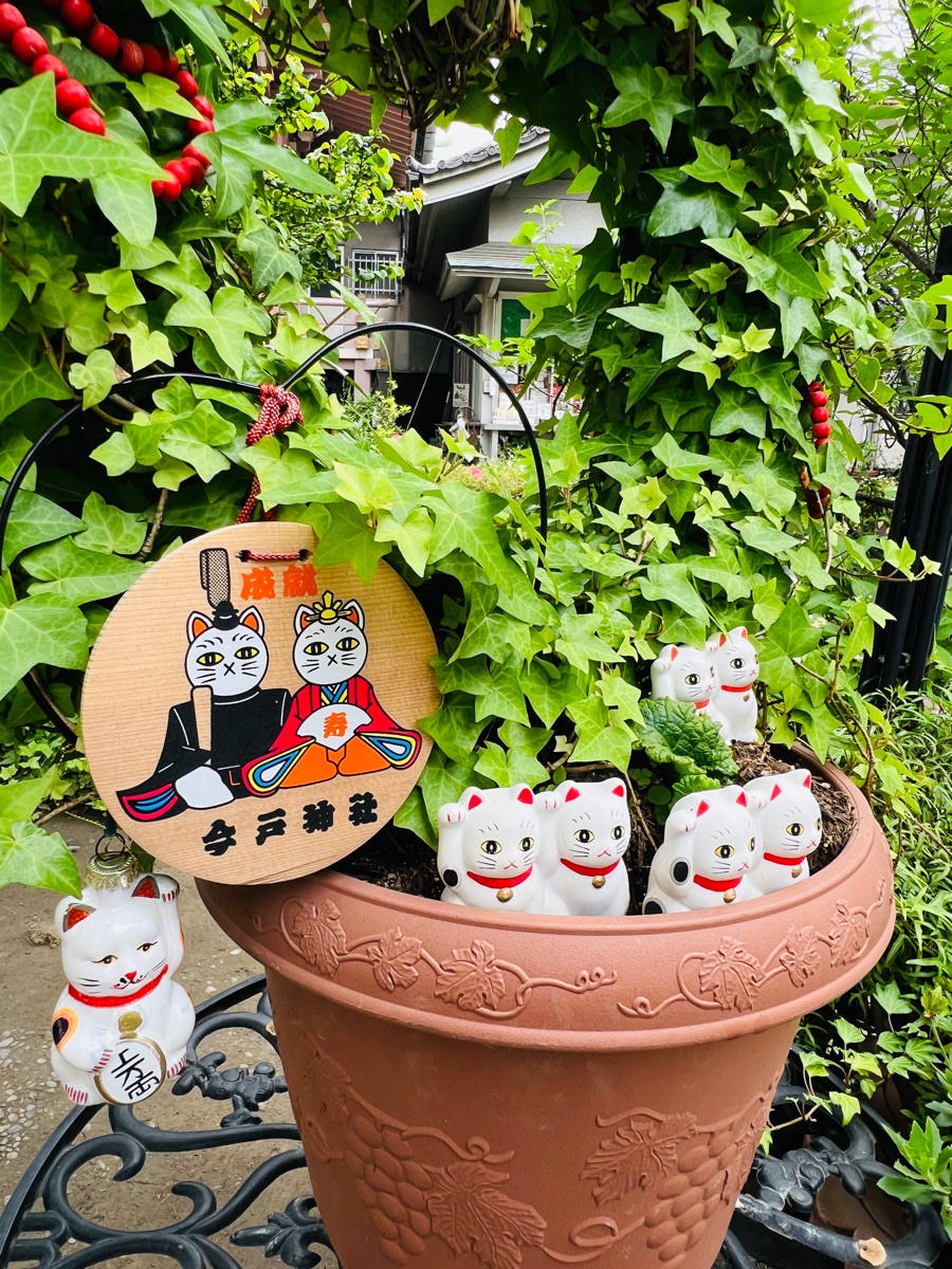 今戶神社 | 去趣 chicTrip