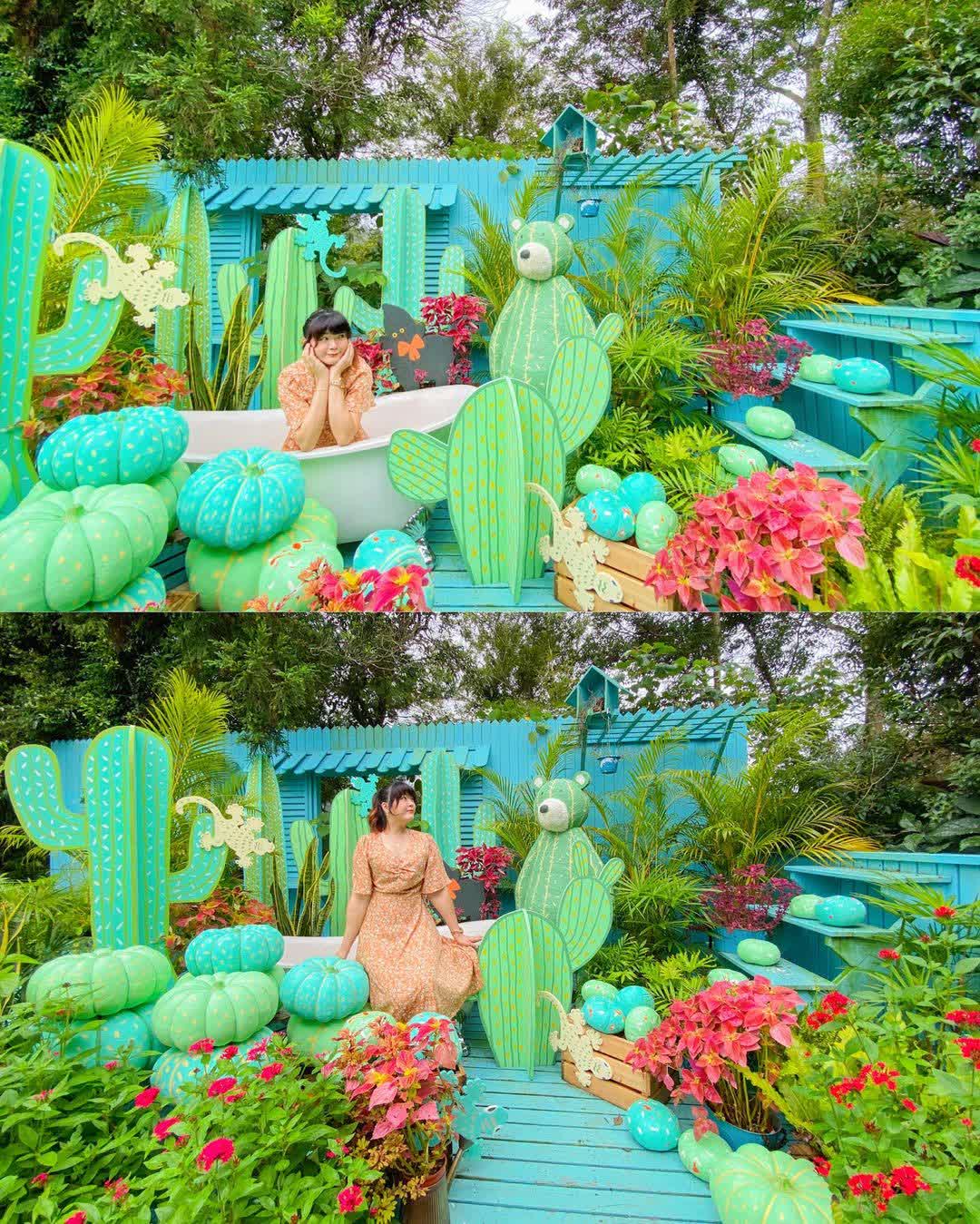 薰衣草森林新竹尖石店 | 去趣 chicTrip