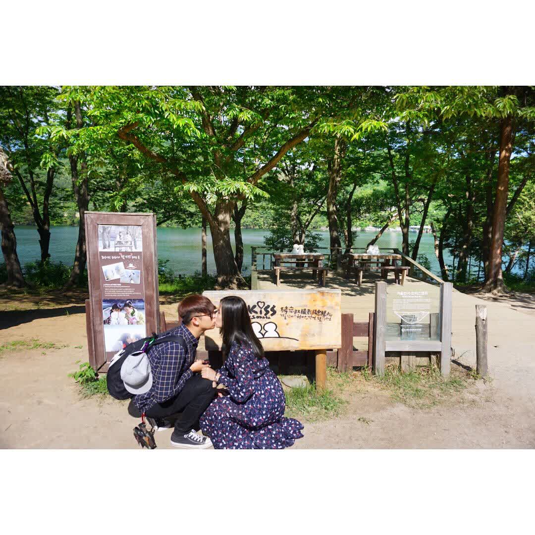 南怡島남이섬 | 去趣 chicTrip