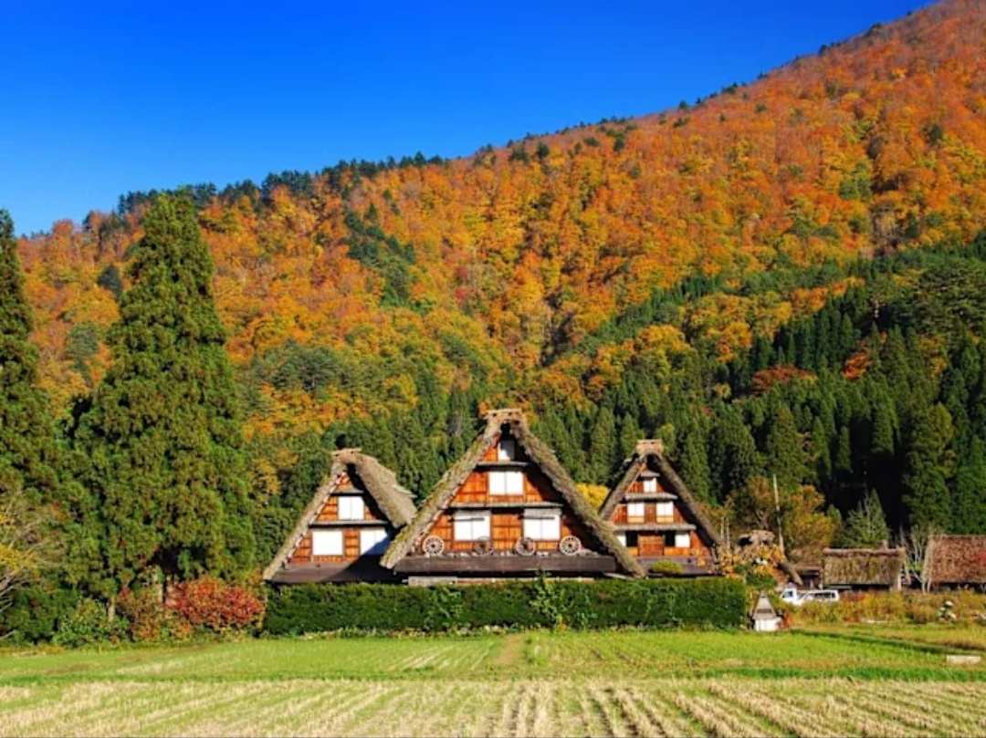 白川鄉合掌造聚落 | 去趣 chicTrip