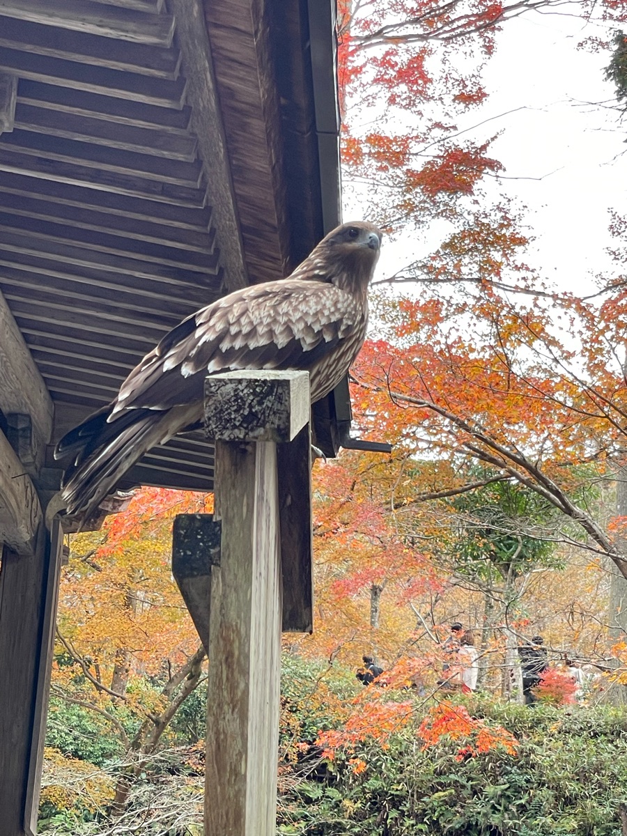 三千院 | 去趣 chicTrip