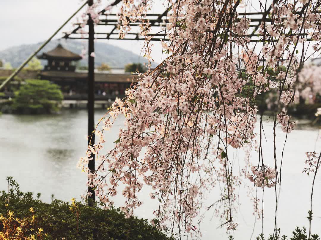 平安神宮 | 去趣 chicTrip