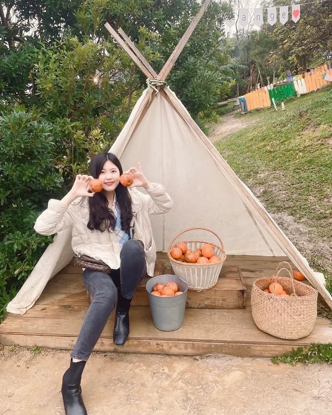 橙香森林 | 去趣 chicTrip