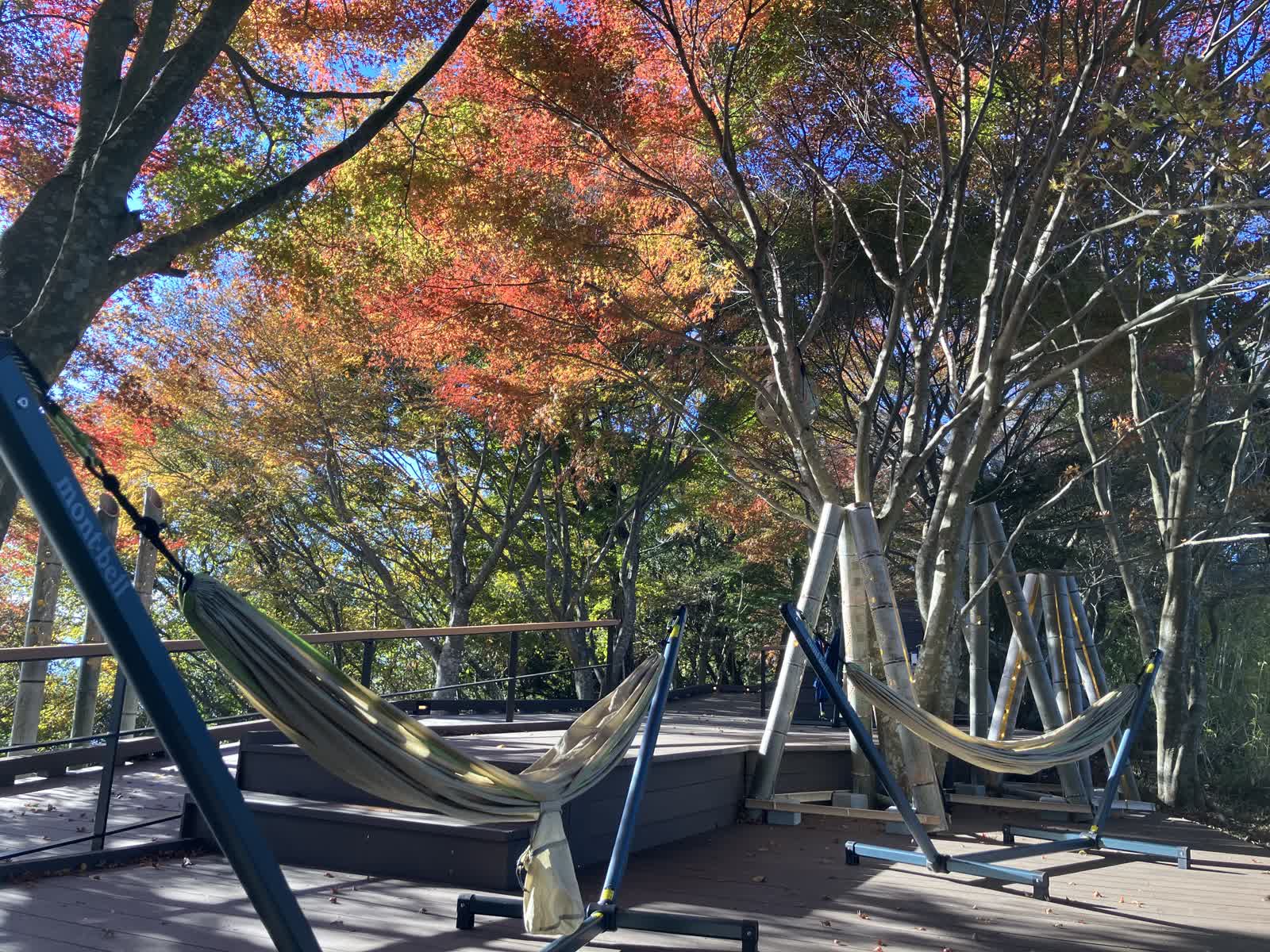 伊豆全景公園 | 去趣 chicTrip