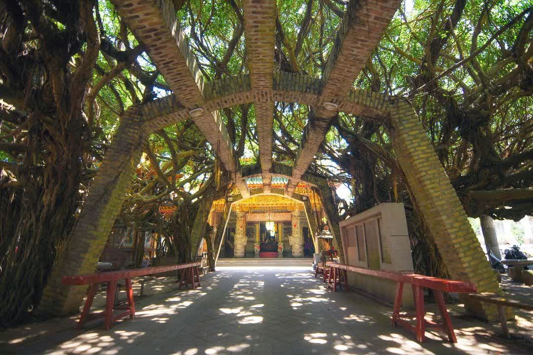 通梁古榕 | 去趣 chicTrip