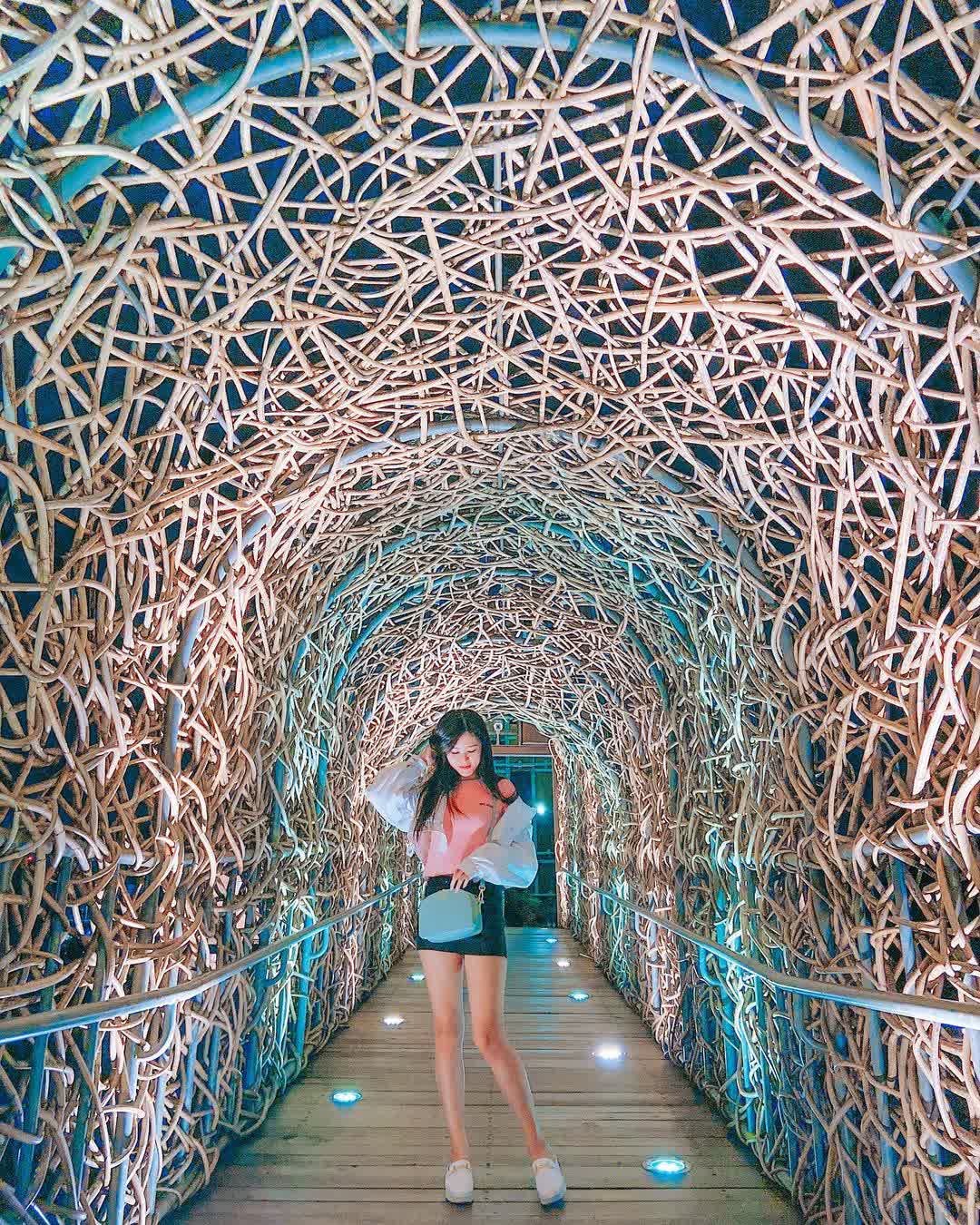 森林之歌 | 去趣 chicTrip