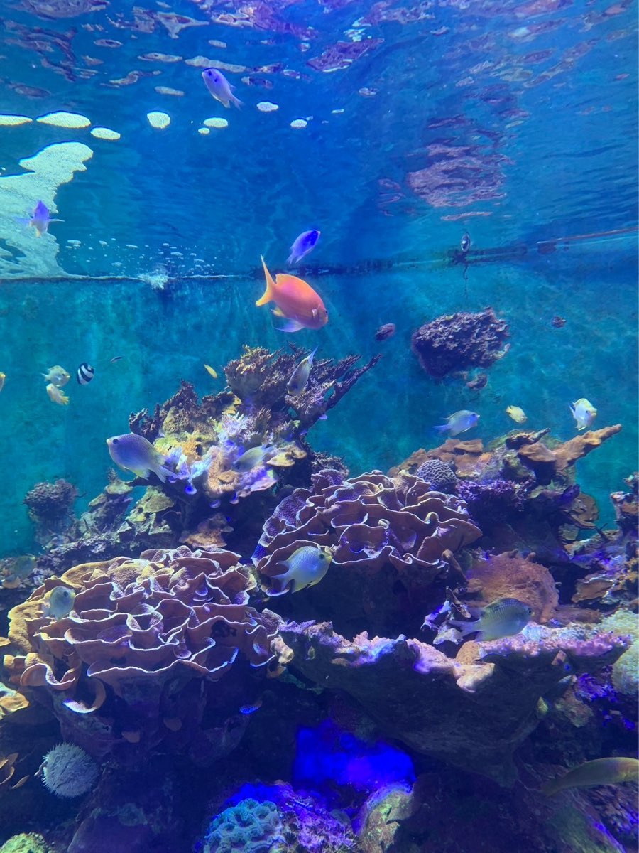 國立海洋生物博物館 | 去趣 chicTrip