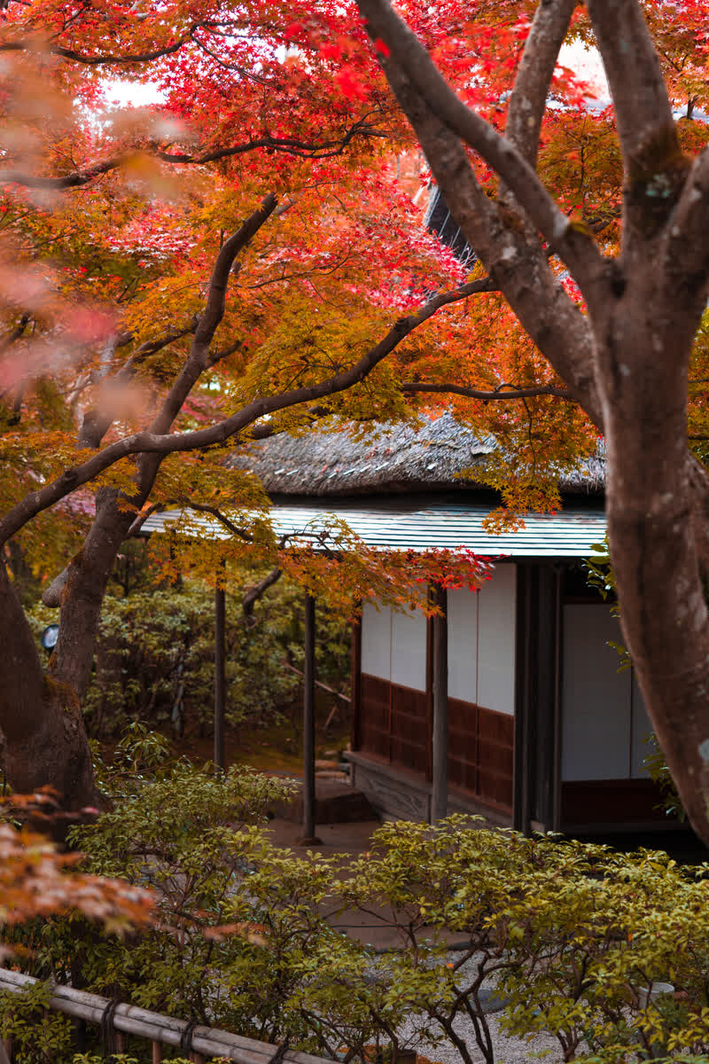 MOA美術館 | 去趣 chicTrip