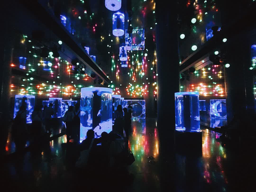 室內水族館 Maxell Aqua Park | 去趣 chicTrip