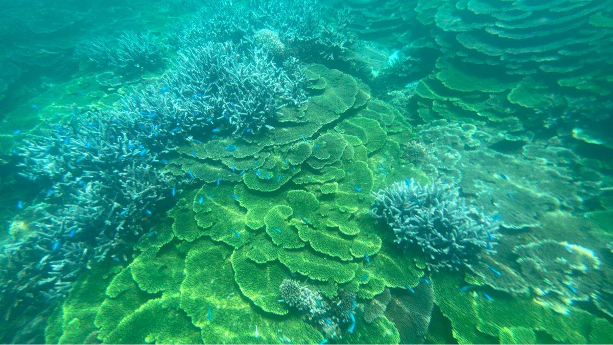 金瓜仔礁（忘憂島） | 去趣 chicTrip