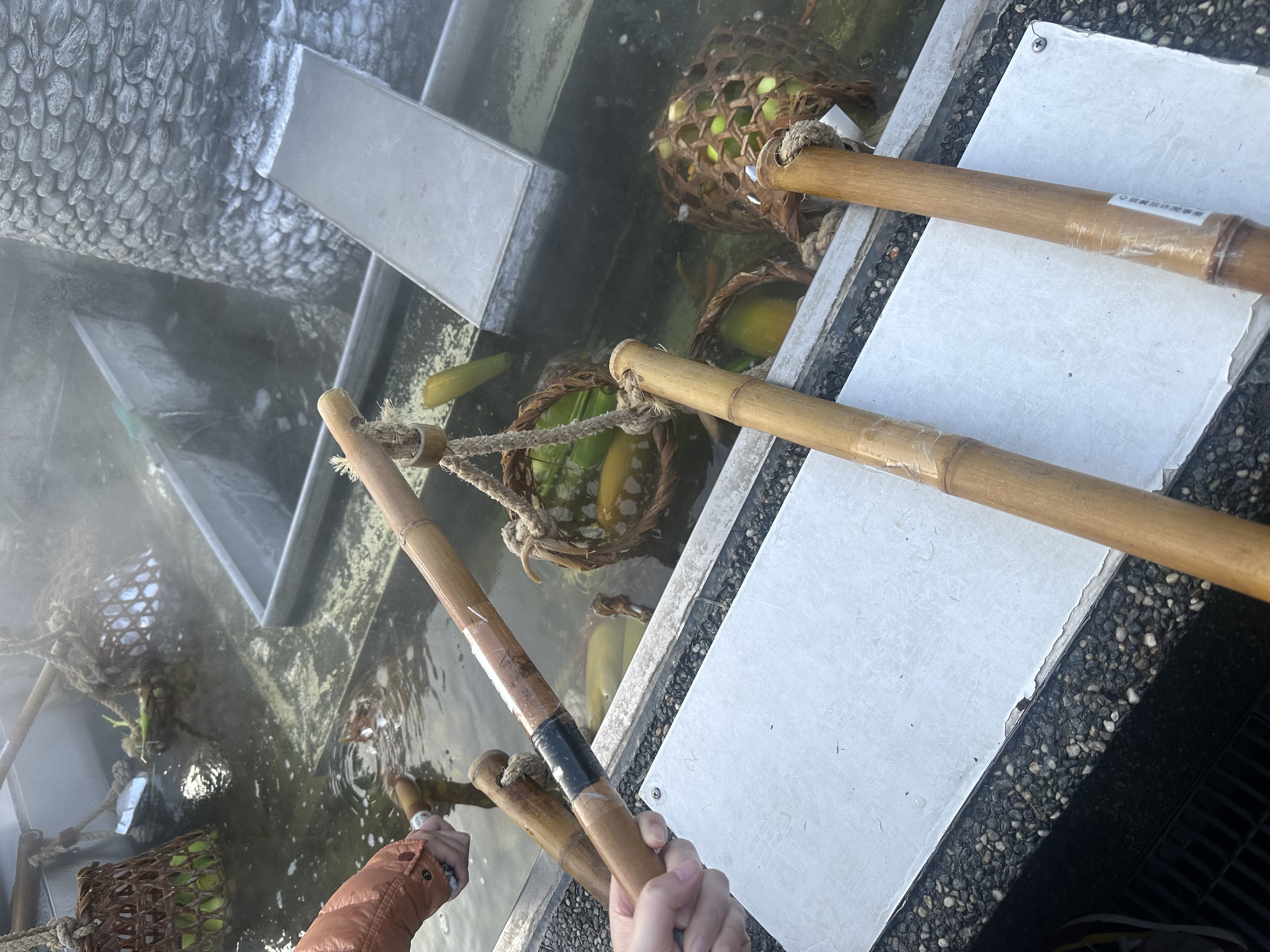 清水地熱公園 | 去趣 chicTrip