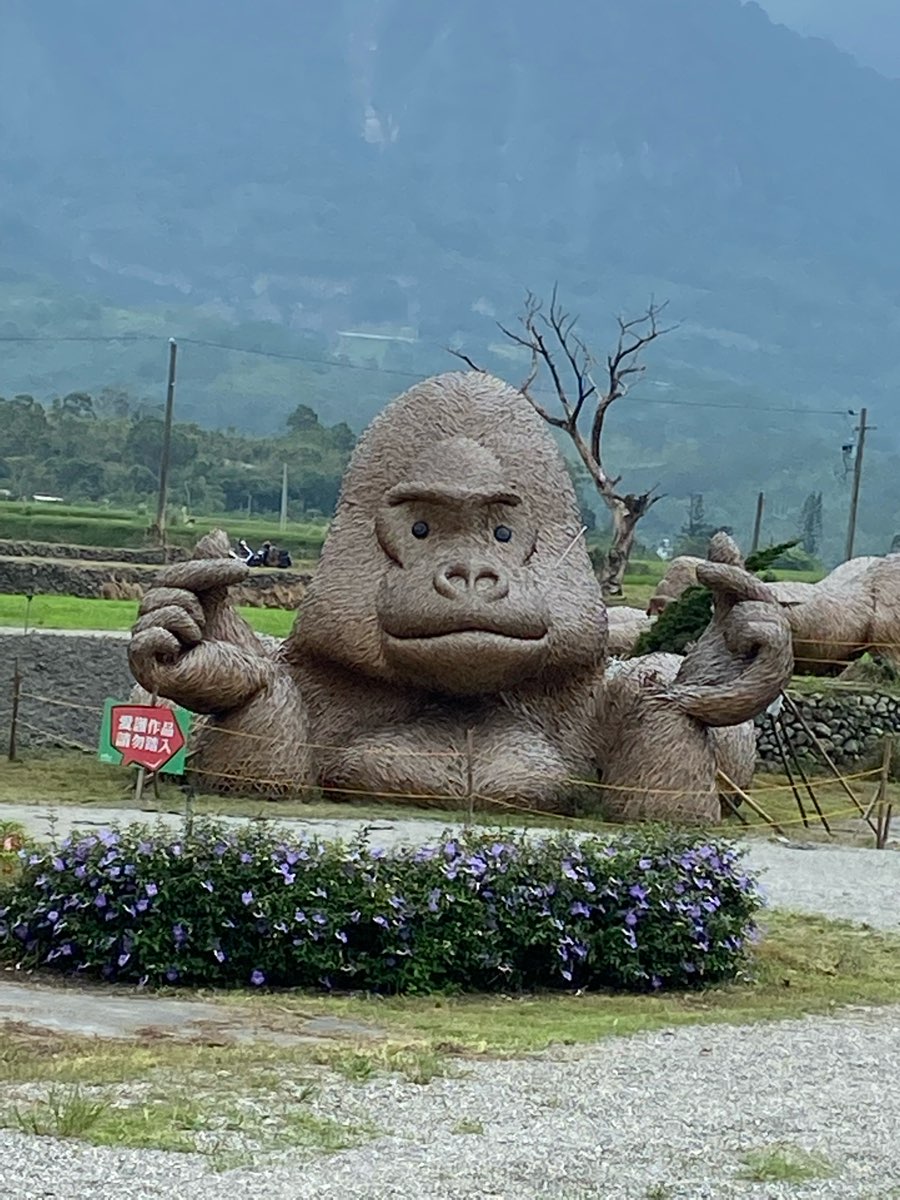 富里花海景觀區  (花蓮縣富里鄉農會旁) | 去趣 chicTrip