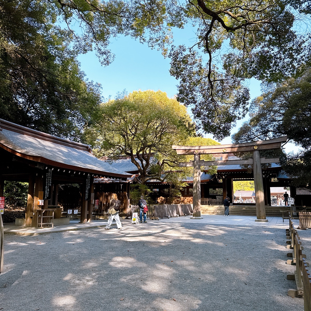 明治神宮 | 去趣 chicTrip