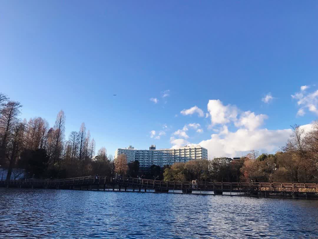 井之頭恩賜公園 | 去趣 chicTrip