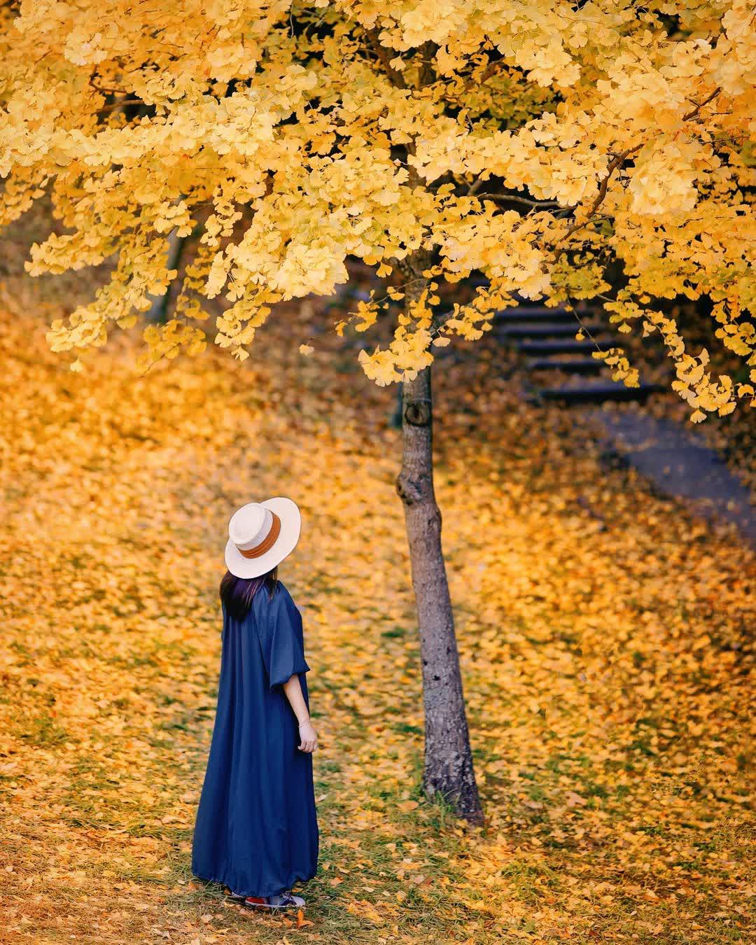 武陵農場 | 去趣 chicTrip