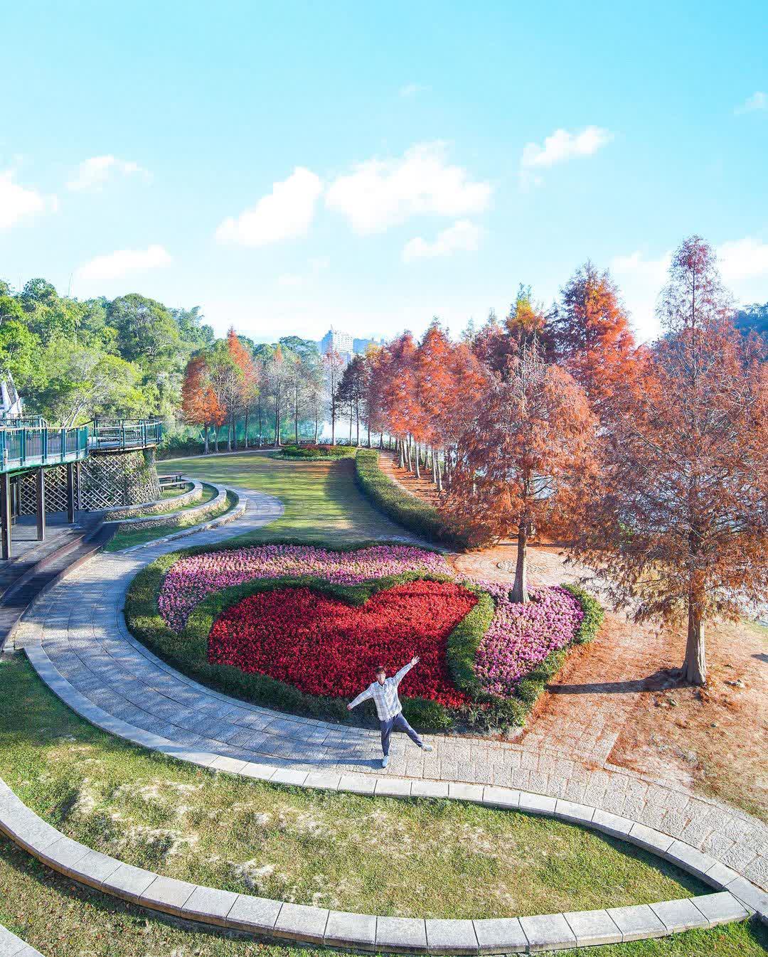 向山行政暨遊客中心 | 去趣 chicTrip