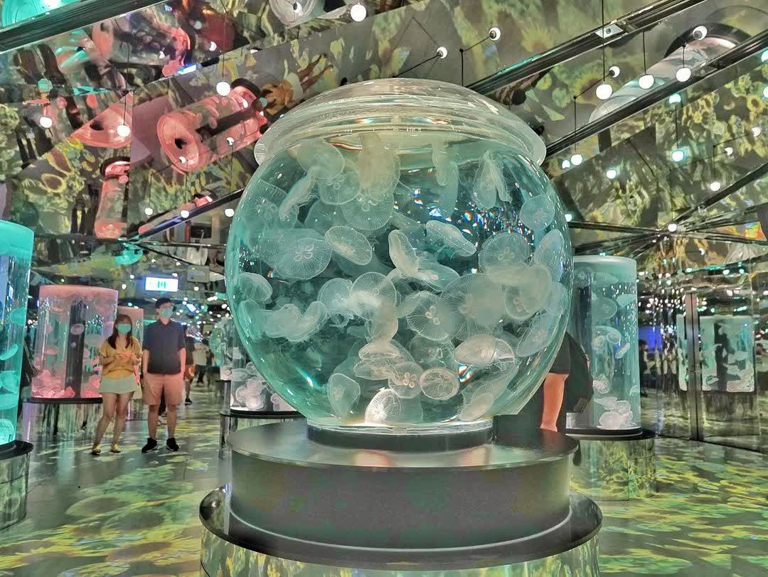 Xpark 水族館 | 去趣 chicTrip