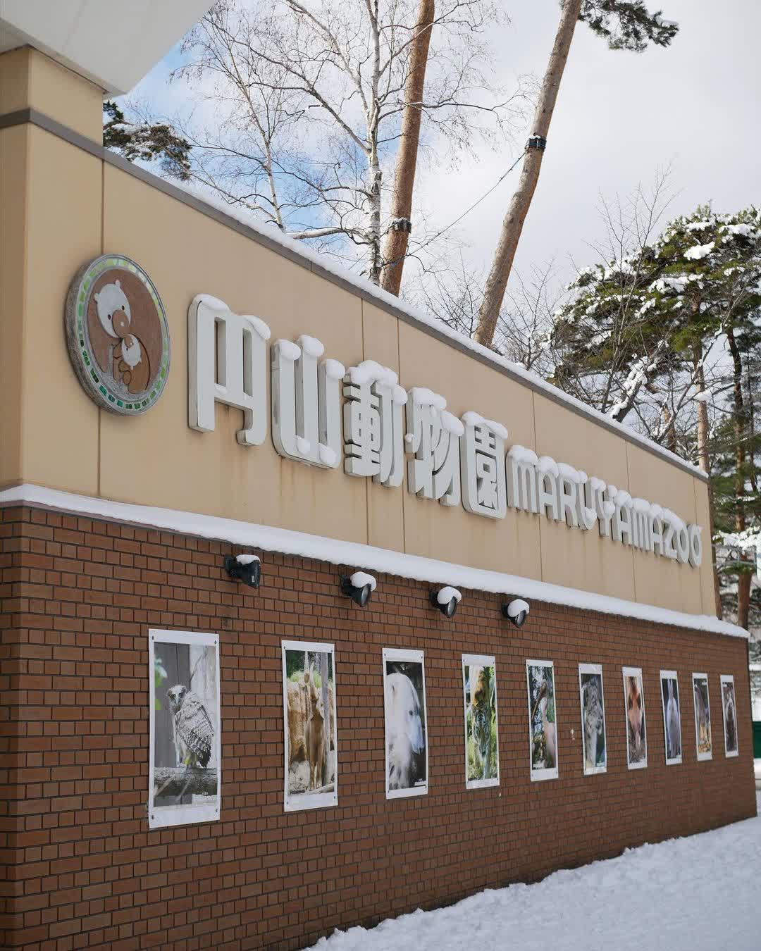 札幌市円山動物園 | 去趣 chicTrip