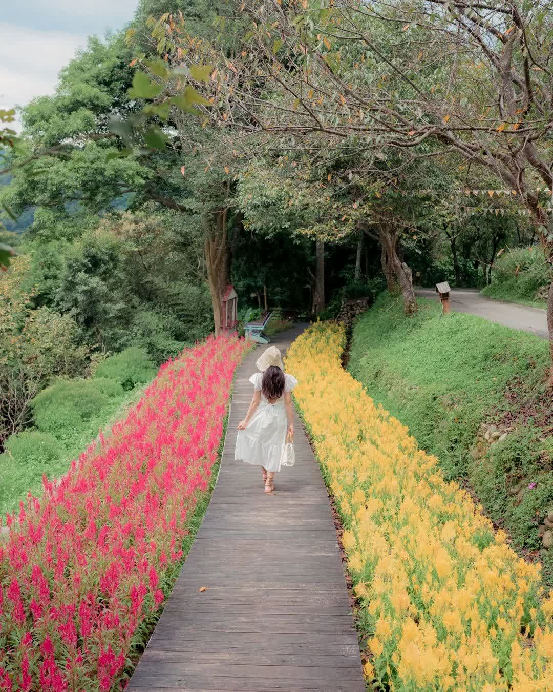 薰衣草森林新竹尖石店 | 去趣 chicTrip