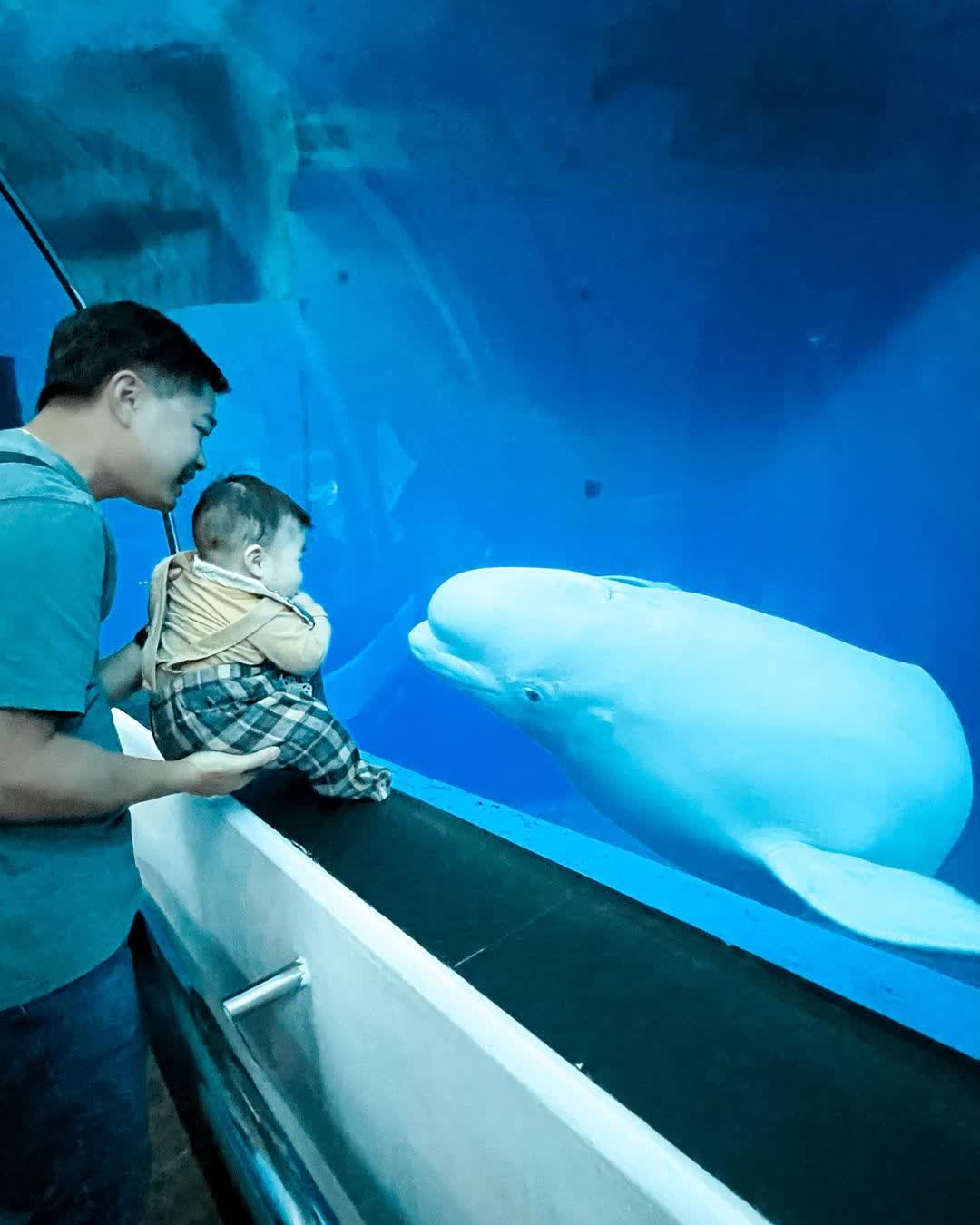 國立海洋生物博物館 | 去趣 chicTrip