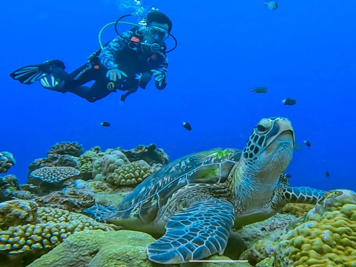 柴口浮潛區 | 去趣 chicTrip