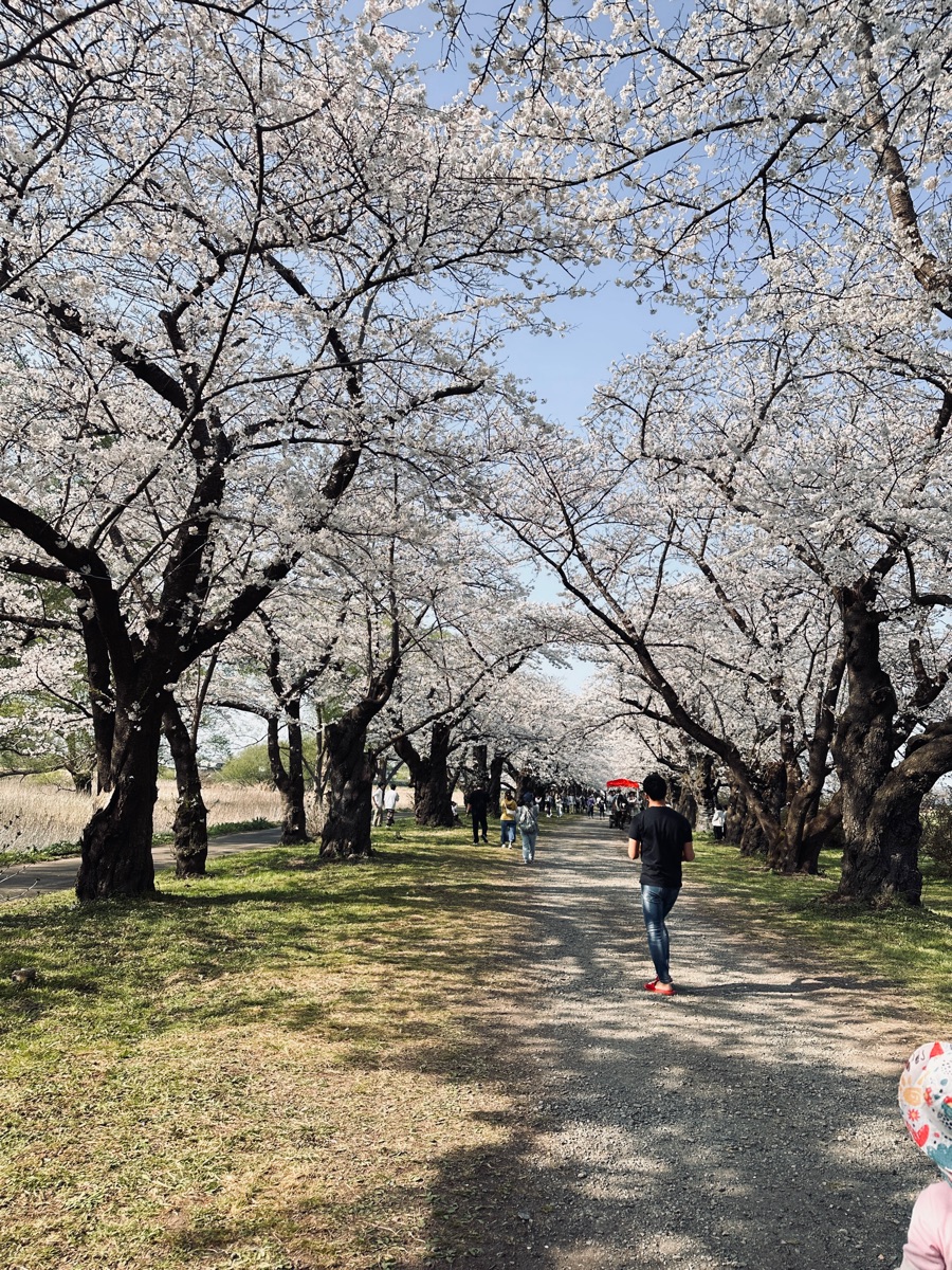 北上展勝地 | 去趣 chicTrip