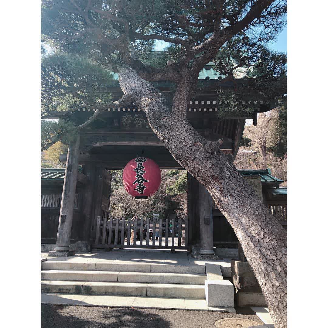 Hasedera | 去趣 chicTrip