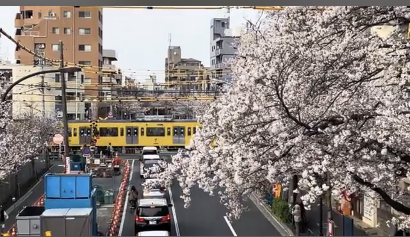 新井五丁目歩道橋 | 去趣 chicTrip