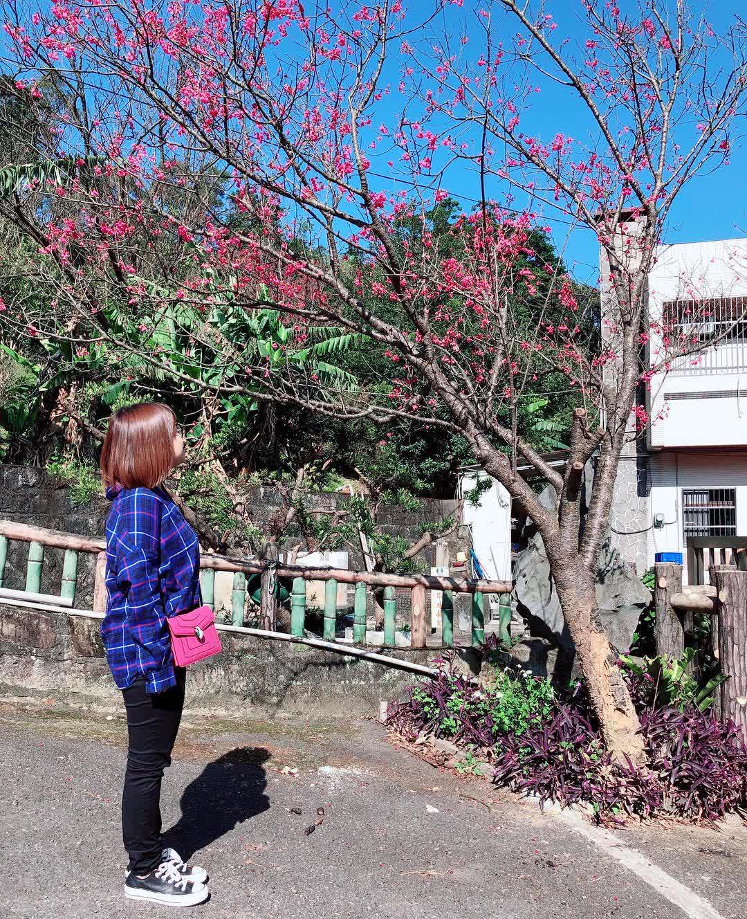 白石湖吊橋 | 去趣 chicTrip