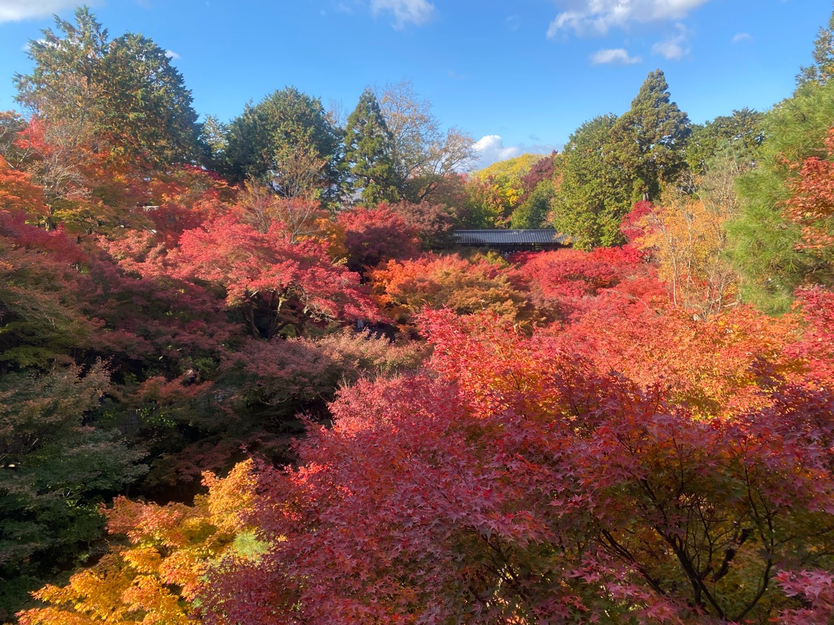東福寺 | 去趣 chicTrip