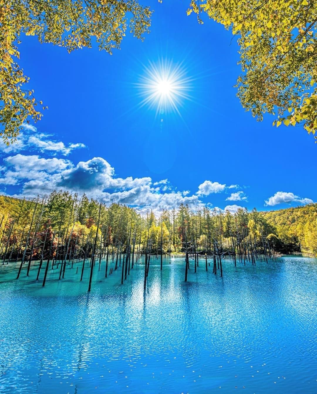 白金青池 | 去趣 chicTrip