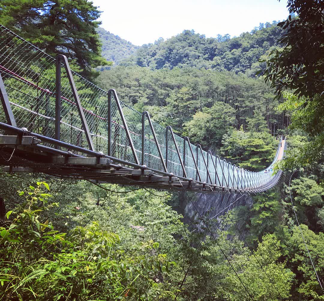 奧萬大吊橋 | 去趣 chicTrip