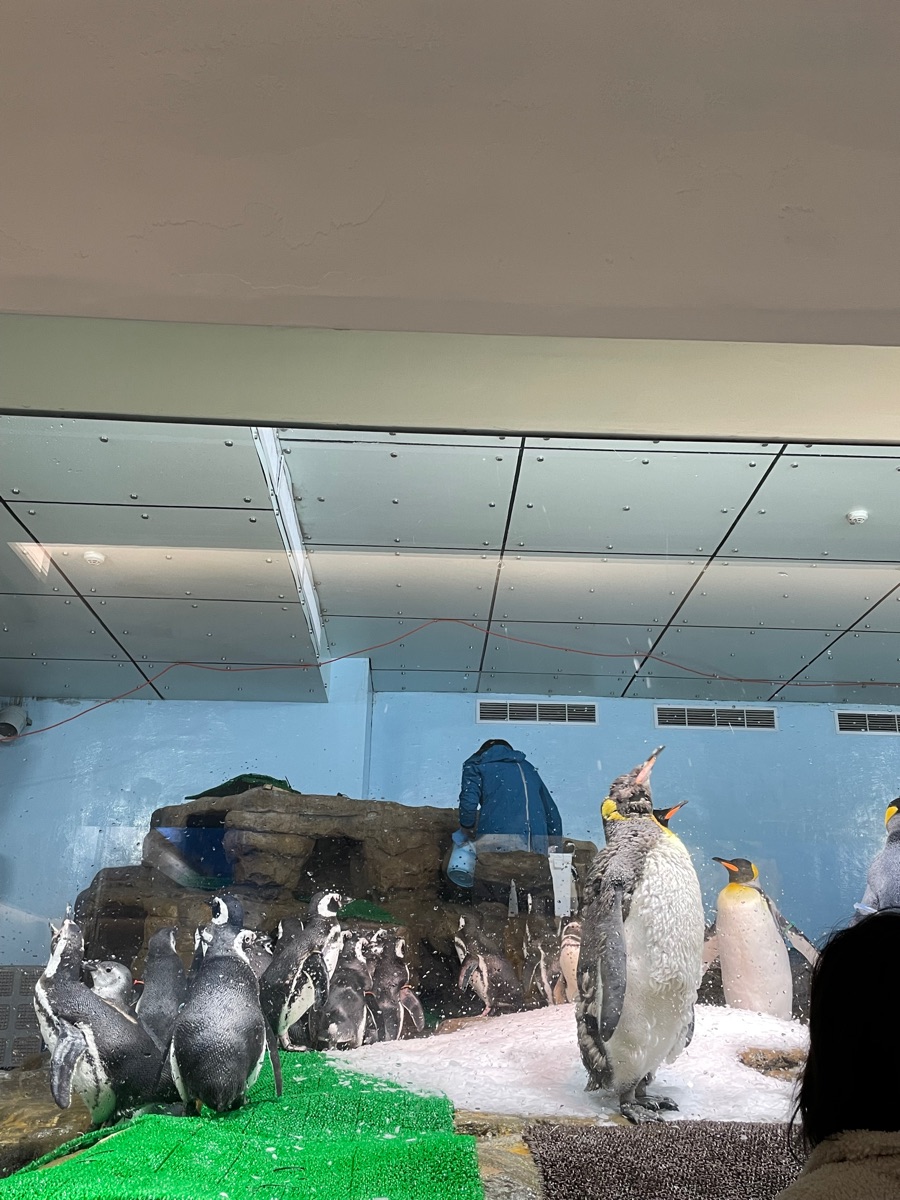 Xpark 水族館 | 去趣 chicTrip