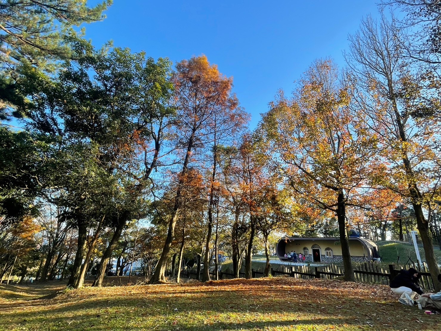 碧山露營場 | 去趣 chicTrip