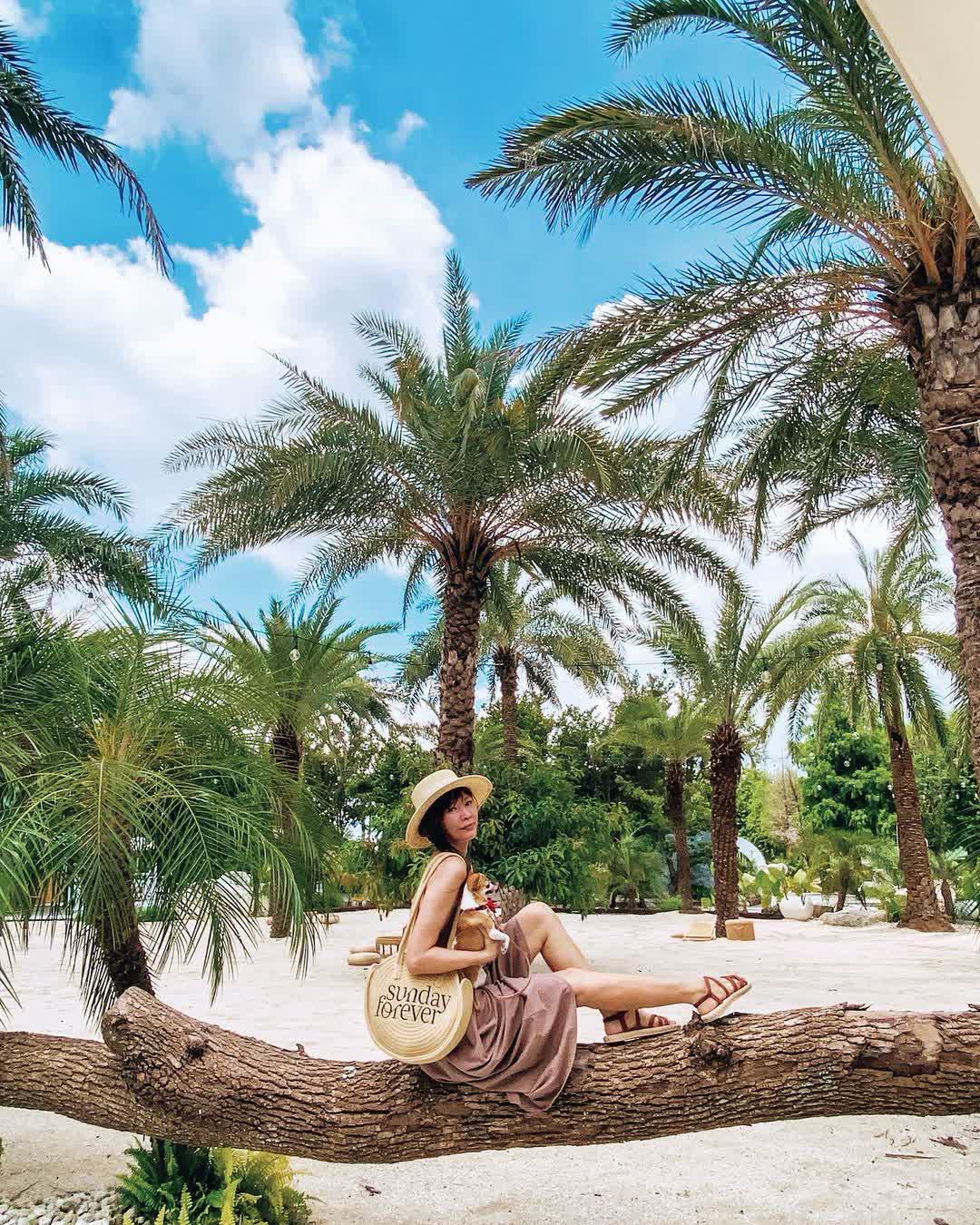 好田森林 | 去趣 chicTrip