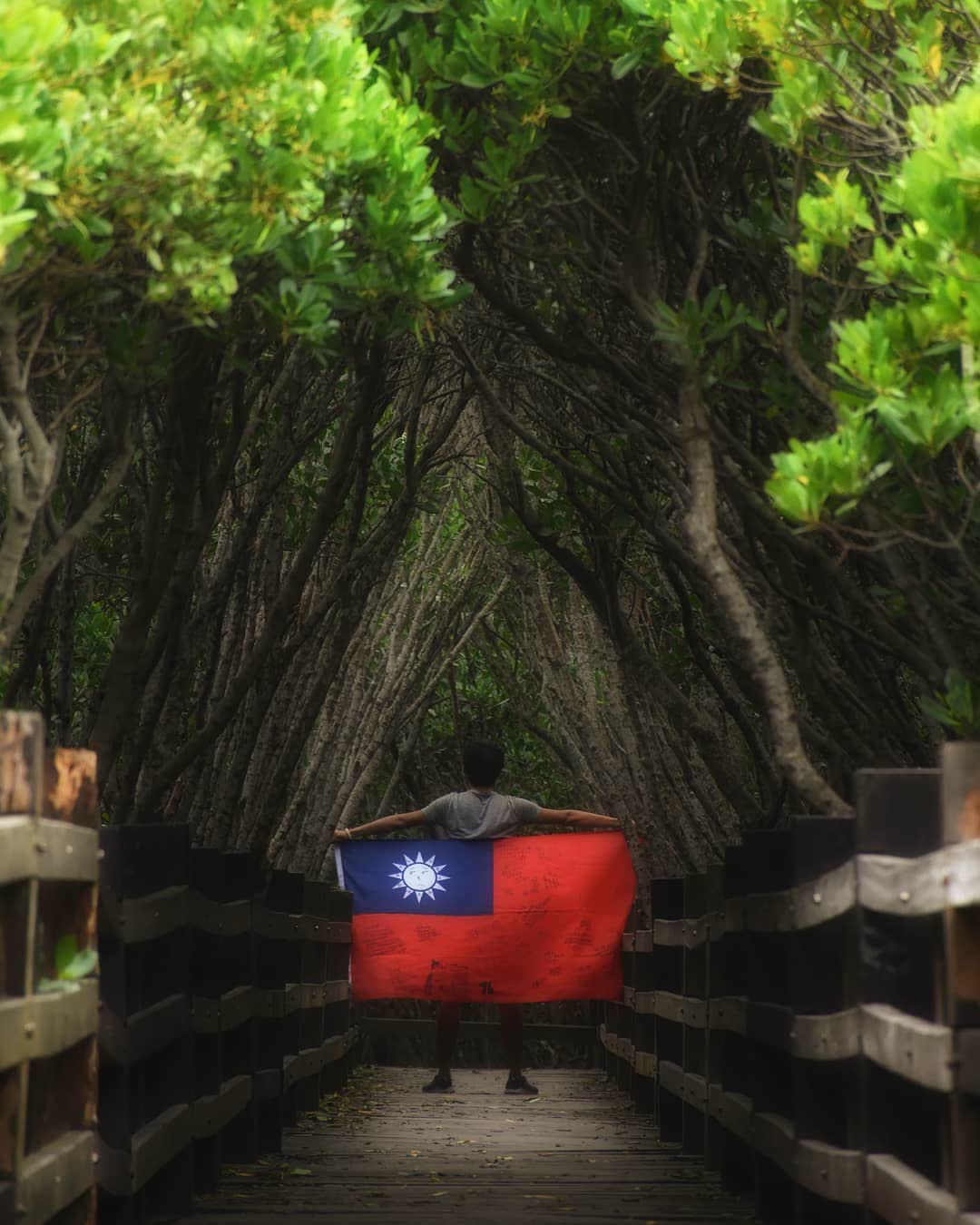新豐紅樹林生態保護區 | 去趣 chicTrip