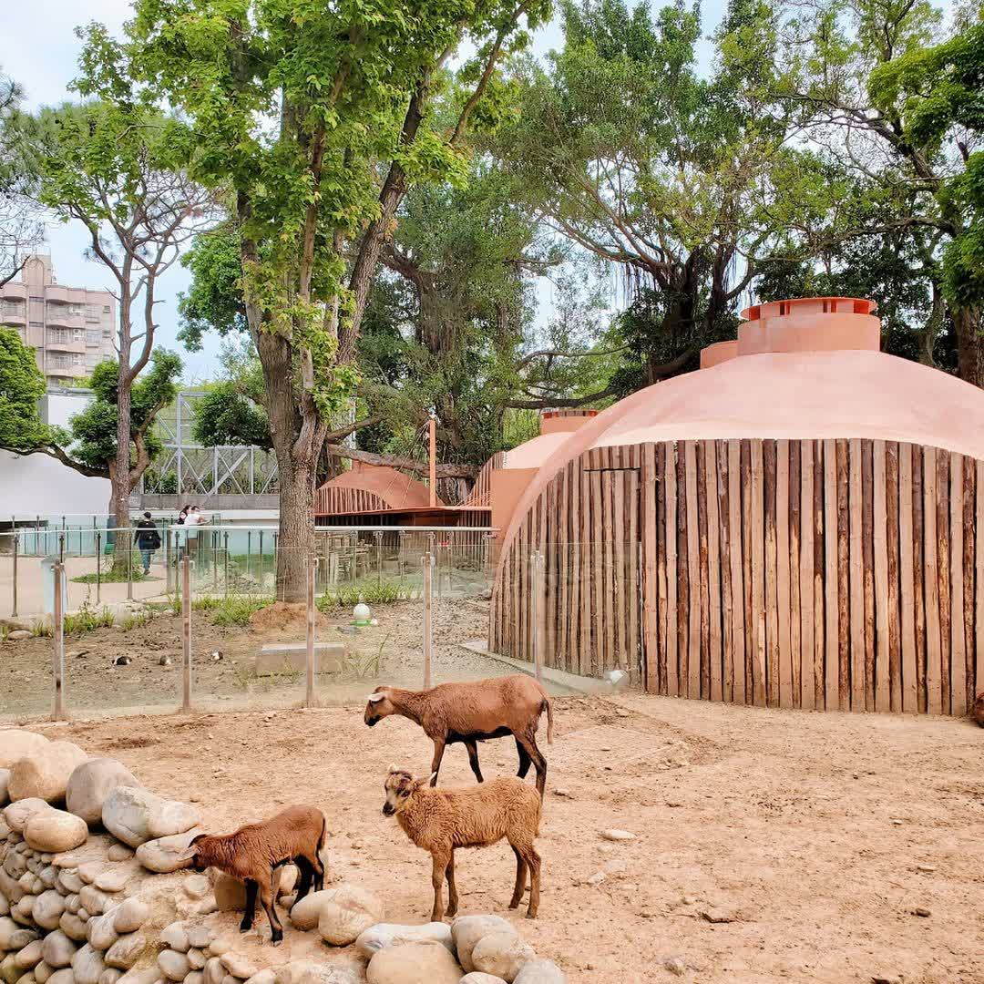 新竹市立動物園 | 去趣 chicTrip