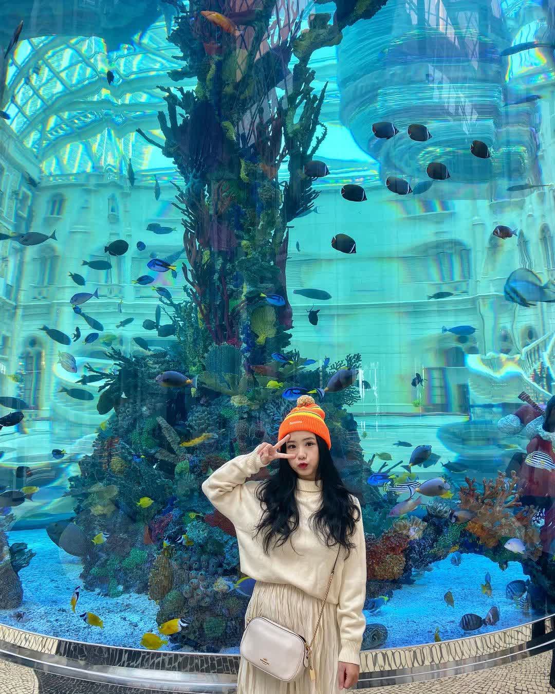 澳門美高梅 | 去趣 chicTrip