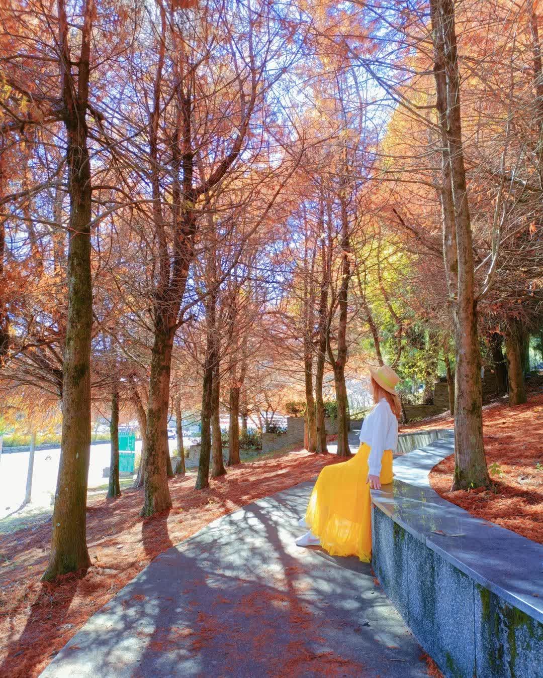 清境農場國民賓館 | 去趣 chicTrip