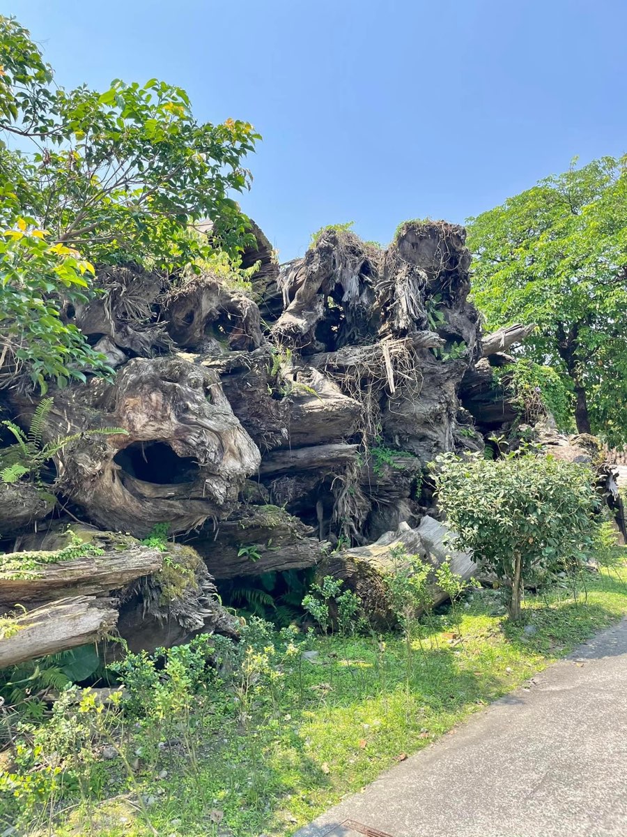 羅東林業文化園區 | 去趣 chicTrip