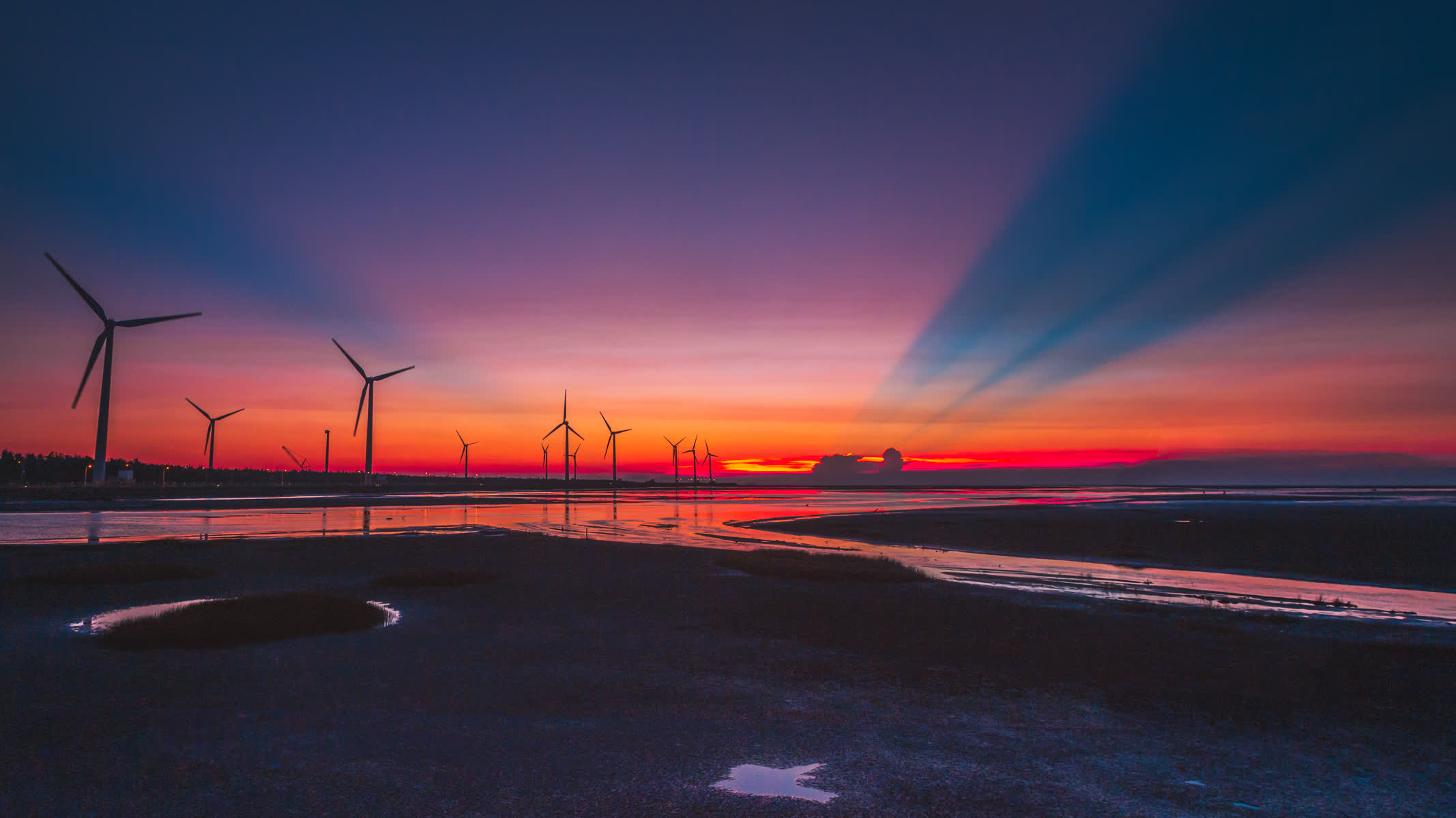 高美野生動物保護區 | 去趣 chicTrip