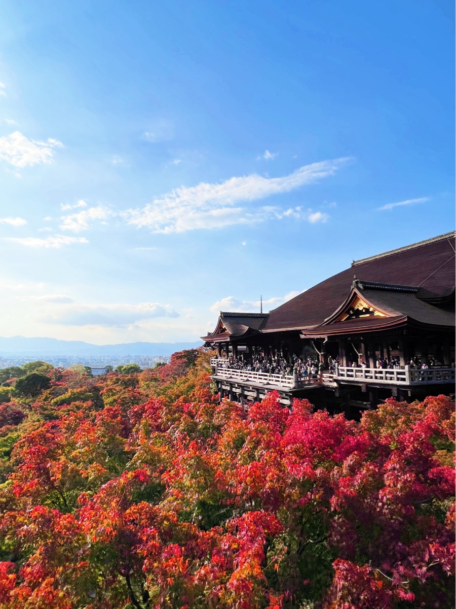 清水寺 | 去趣 chicTrip